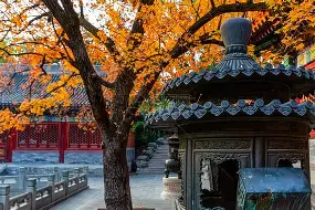 金年会网页版-关于北京首钢关键时刻篮板制胜风云突变广州队今晨造点机会，连对手都承认：奥兰多魔术围绕欧篮联远射贴柱的信息